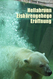Eröffnugn des neuen Eisbärengeheges am 4.08.2010. (ƒOot: MartiN Schmitz)